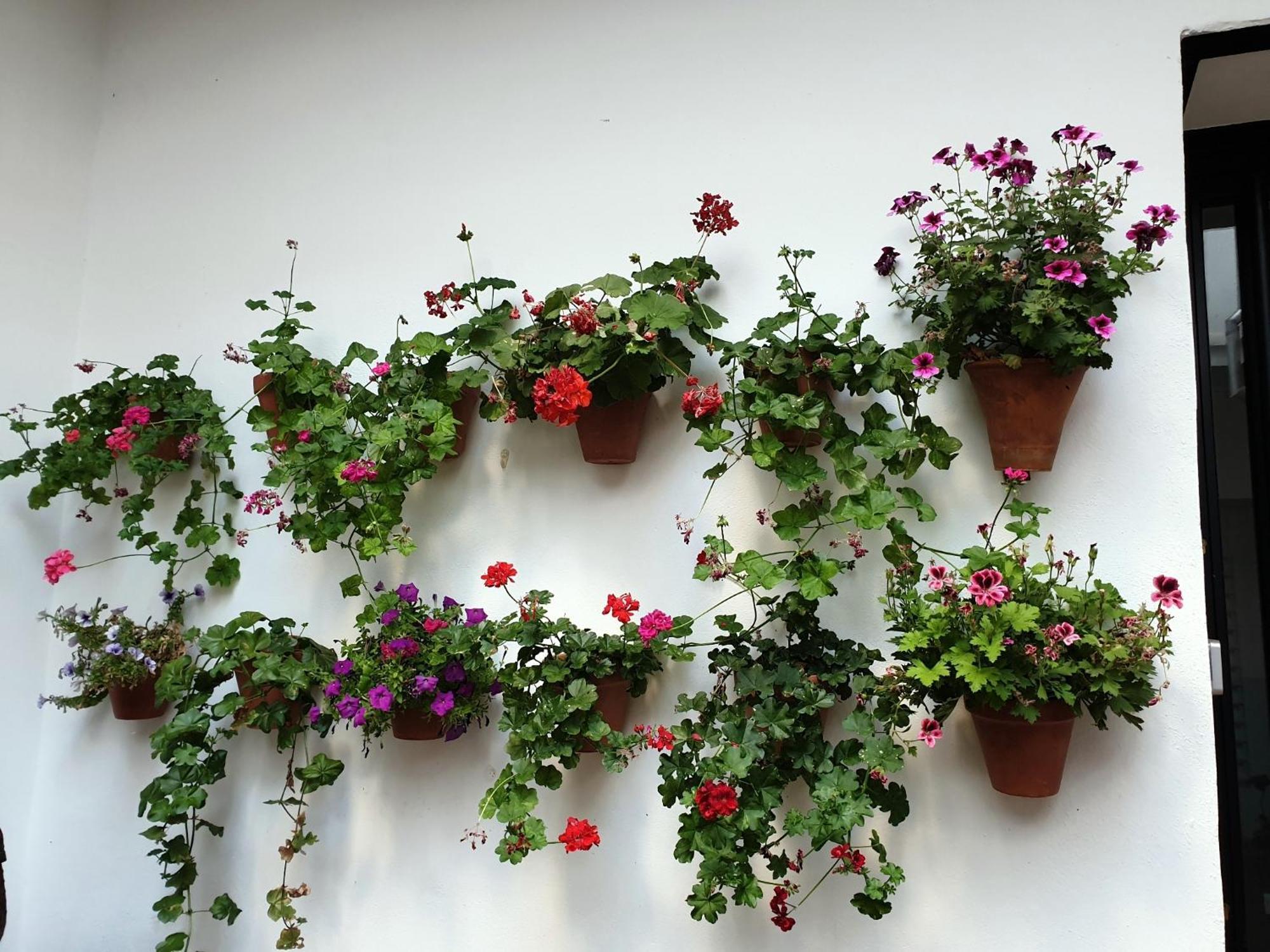 Entre Patios Y Flores Cordoba Exterior photo